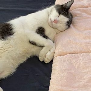 Meet your Posher, Behnaz